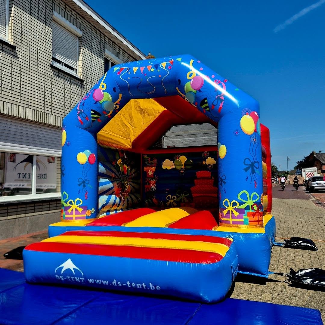 Mini Party Springkasteel